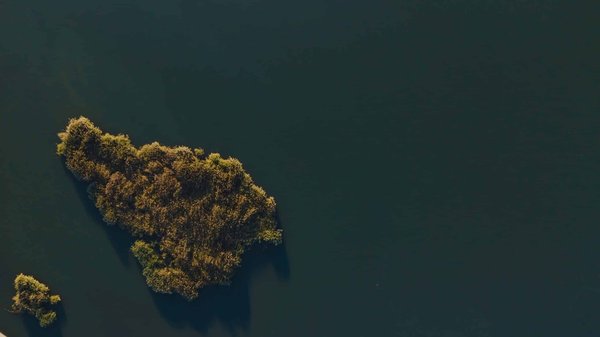 Quelles plantes choisir pour un toit végétalisé en climat méditerranéen?