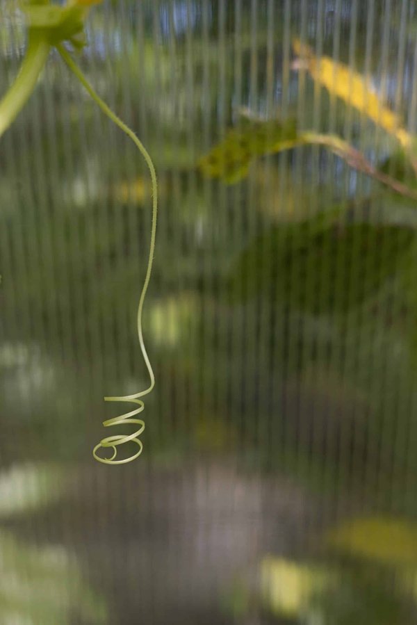 Comment adapter un système d'arrosage automatique pour des jardinières de balcon ?